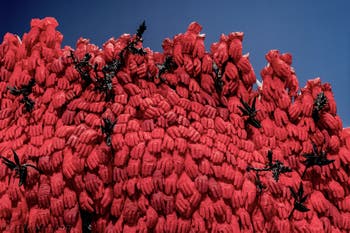 Ebony G. Patterson, pavillon central des Giardini, Biennale d'Art de Venise 2026