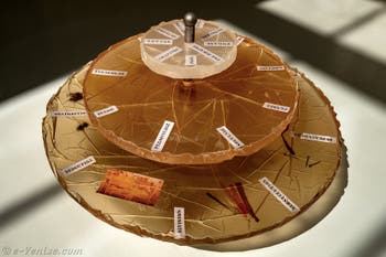 Yto Barrada, Comme Saturne, France, Biennale d'Art de Venise 2026