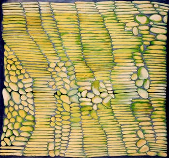 Hala Schoukair, pavillon central des Giardini, Biennale d'Art de Venise 2026