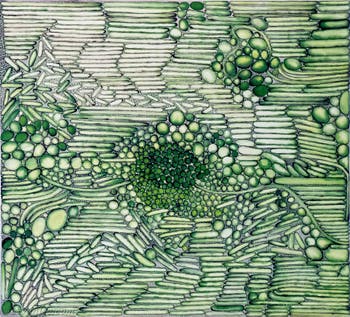 Hala Schoukair, pavillon central des Giardini, Biennale d'Art de Venise 2026