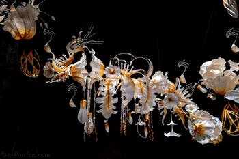 Ranjani Shettar, Under the same sky, Pavillon de l'Inde, Biennale de Venise 2026