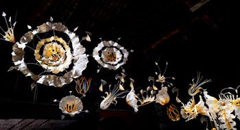 Ranjani Shettar, Under the same sky, Pavillon de l'Inde, Biennale de Venise 2026