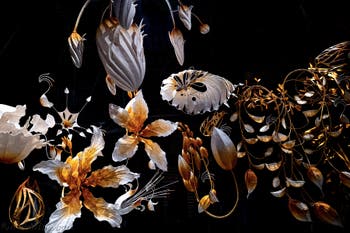 Ranjani Shettar, Under the same sky, Pavillon de l'Inde, Biennale de Venise 2026