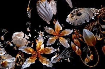 Ranjani Shettar, Under the same sky, Pavillon de l'Inde, Biennale de Venise 2026