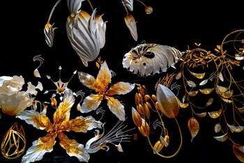 Ranjani Shettar, Under the same sky, Pavillon de l'Inde, Biennale de Venise 2026