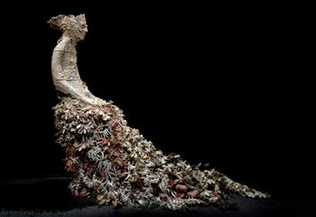 Chiara Camoni, Con te con tutto, Italie, Biennale d'art de Venise 2026