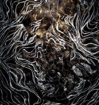 Kambui Olujimi, North Star, pavillon central des Giardini, Biennale d'Art de Venise 2026