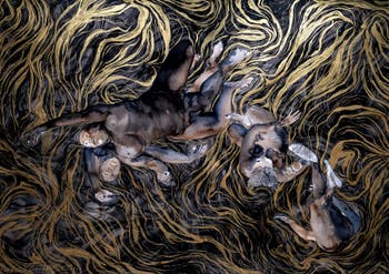 Kambui Olujimi, North Star, pavillon central des Giardini, Biennale d'Art de Venise 2026