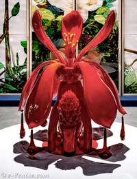 Maria Magdalena Campos-Pons, pavillon central des Giardini, Biennale d'Art de Venise 2026
