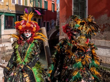 Masques et Costumes du Carnaval de Venise, les Belles en Plumes à l'Arsenal.