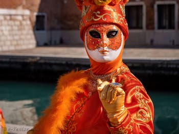 Une Jolie fleur toute orange à l'Arsenal, Masques et Costumes du Carnaval de Venise.