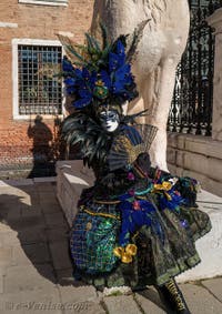 Les masques et costumes du Carnaval de Venise : Belle en plumes et en fleurs à l'Arsenal