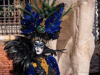Les masques et costumes du Carnaval de Venise : Belle en plumes et en fleurs à l'Arsenal