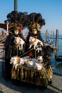 Huit petits chiens à Saint Marc, les Masques et costumes du Carnaval de Venise