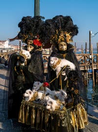 Huit petits chiens à Saint Marc, les Masques et costumes du Carnaval de Venise