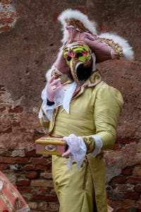 Les costumés du carnaval de Venise devant l'Arsenal de Venise.