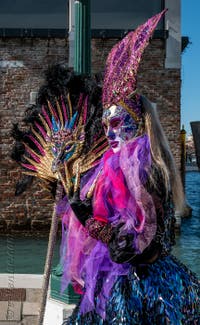 Les costumés du carnaval de Venise devant la Madonna de la Salute.