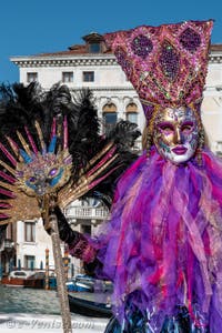 Les costumés du carnaval de Venise devant la Madonna de la Salute.