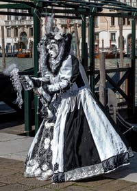 Les costumés du carnaval de Venise devant la Madonna de la Salute.