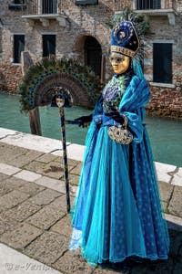 Les costumés du carnaval de Venise devant la Madonna de la Salute.