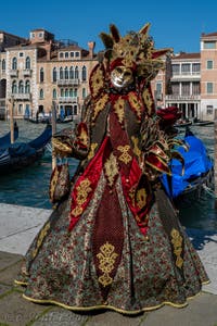 Les costumés du carnaval de Venise devant la Madonna de la Salute.