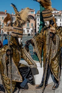 Les costumés du carnaval de Venise devant la Madonna de la Salute.