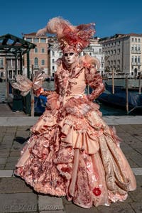 Les costumés du carnaval de Venise devant la Madonna de la Salute.