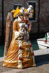 Les costumés du carnaval de Venise devant la Madonna de la Salute.