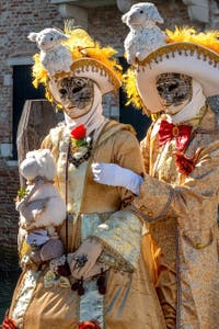 Les costumés du carnaval de Venise devant la Madonna de la Salute.