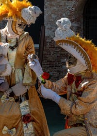 Les costumés du carnaval de Venise devant la Madonna de la Salute.