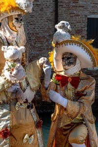 Les costumés du carnaval de Venise devant la Madonna de la Salute.