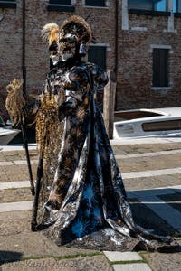 Les costumés du carnaval de Venise devant la Madonna de la Salute.