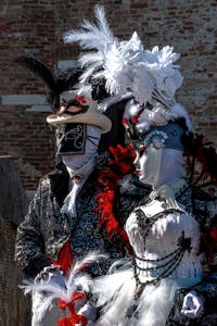 Les costumés du carnaval de Venise devant la Madonna de la Salute.