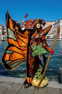 Les costumés du carnaval de Venise devant la Madonna de la Salute.