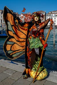 Les costumés du carnaval de Venise devant la Madonna de la Salute.