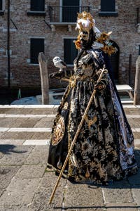 Les costumés du carnaval de Venise devant la Madonna de la Salute.