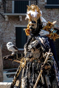 Les costumés du carnaval de Venise devant la Madonna de la Salute.