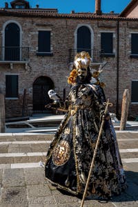 Les costumés du carnaval de Venise devant la Madonna de la Salute.