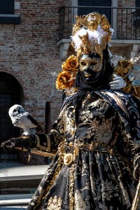 Les costumés du carnaval de Venise devant la Madonna de la Salute.