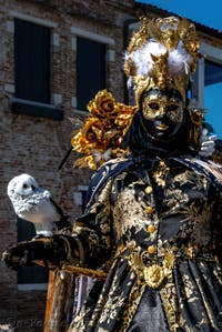 Les costumés du carnaval de Venise devant la Madonna de la Salute.