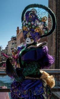 Les costumés du carnaval de Venise devant la Madonna de la Salute.