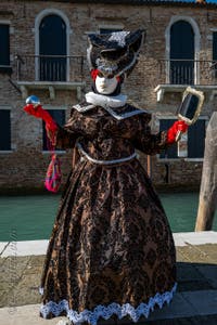 Les costumés du carnaval de Venise devant la Madonna de la Salute.