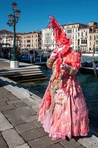 Les costumés du carnaval de Venise devant la Madonna de la Salute.