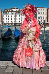 Les costumés du carnaval de Venise devant la Madonna de la Salute.