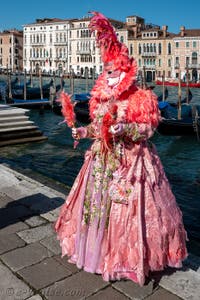 Les costumés du carnaval de Venise devant la Madonna de la Salute.