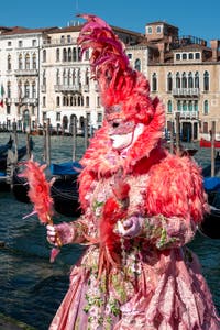 Les costumés du carnaval de Venise devant la Madonna de la Salute.