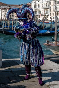 Les costumés du carnaval de Venise devant la Madonna de la Salute.