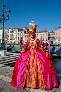 Les costumés du carnaval de Venise devant la Madonna de la Salute.