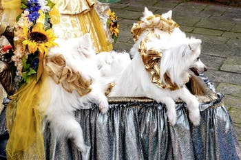 La parade des costumés du carnaval de Venise 2026 devant l'église de San Zaccaria.
