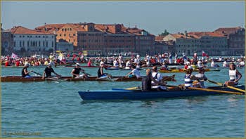 La Vogalonga de Venise